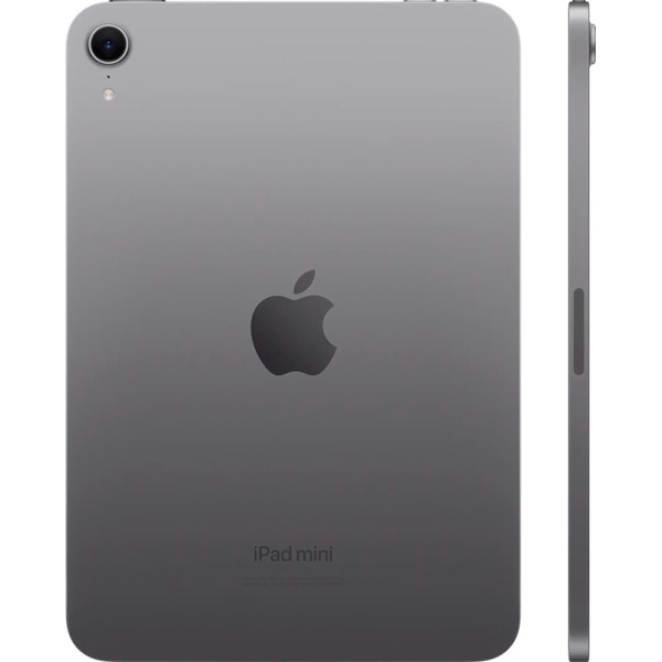Apple iPad mini 2024 серый 3