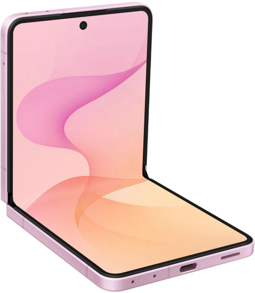 Z Flip8 p 4